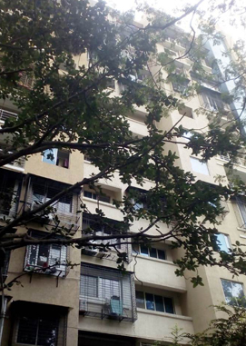 Image-1