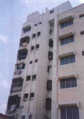 Image-1