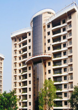 Image-1